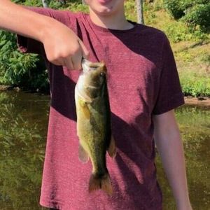 Meet your Posher, Logan